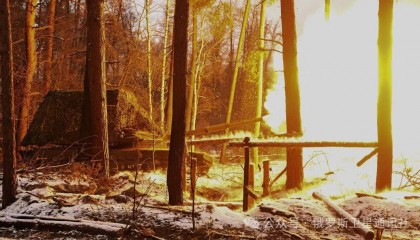 俄国防部：俄军已解放顿涅茨克人民共和国的新特罗伊茨科耶居民点