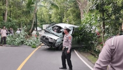 印尼巴厘岛一载有13名中国公民汽车坠入山沟 造成5死8伤