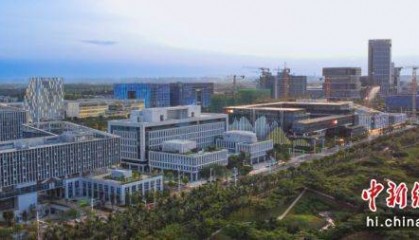 海口市常务副市长冯琳:海口将在自贸港建设等四方面当好“排头兵”