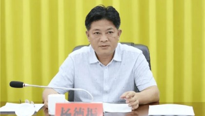 杨德振，严重违反党的政治纪律、组织纪律和廉洁纪律