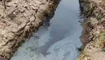 郸城县垃圾场渗滤液直排引关注,环境与民生风险凸显