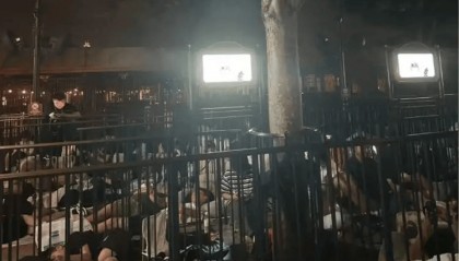 疯抢！上线即秒光！有人通宵排队14小时，二手价已暴涨好几倍……