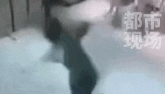 疑儿子盒马鲜生摔倒没人扶妈妈砸店！最新回应：可走法律途径