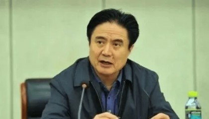 贪婪腐化、恣意妄为，“老虎”罗保铭被决定逮捕！曾任海南省委书记，24年7月主动投案