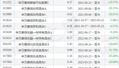 申万菱信智能驱动股票A基金经理变动：增聘付娟为基金经理