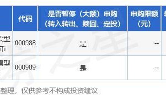 公告速递:嘉实全球互联网股票2024年10月11日暂停申购、赎回及定期定额投资业务
