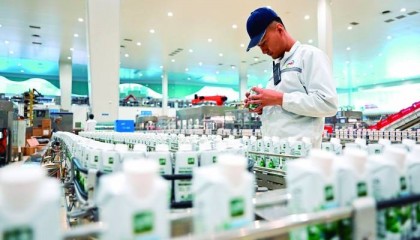 不仅熬过低谷 还要“创”出未来——伊利900亿元营收背后的“抗周期”启示