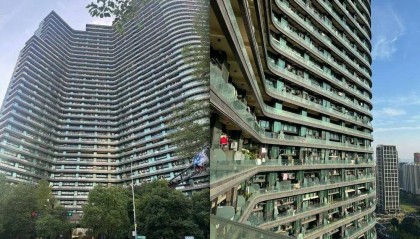 杭州网红主播批量撤离？现场调查来了