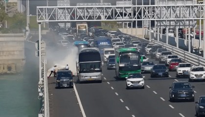 粤B·97821D、粤Z·AG85澳、粤T·91736，你们被拍下来了！