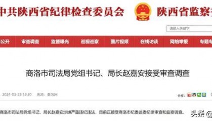陕西商洛一原局长被逮捕