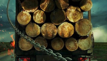 《死神来了6》领衔，大尺度恐怖片接连引进……影市风向真变“松”了吗？