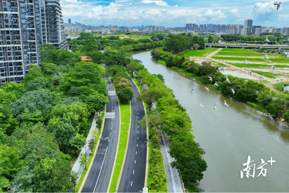 东莞推进全域文明建设：一座超大城市的治理升维｜南方莞评