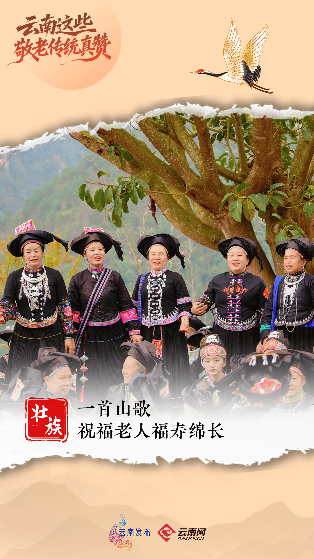 今天，回家看看~