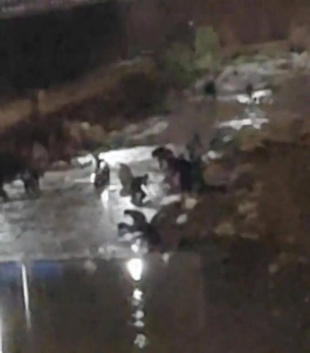 “一盆就出了5克多”!河道内挤满人,半夜冒严寒淘金!当地政府曾多次明令禁止