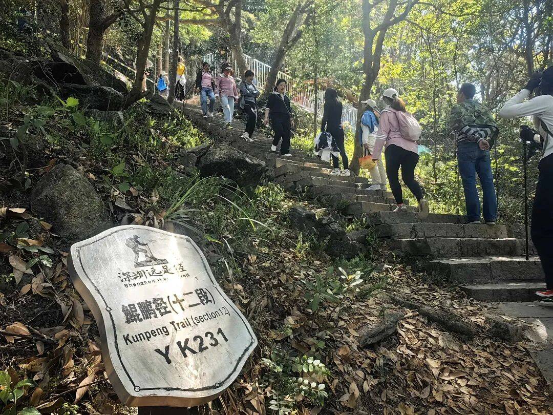 十五运会热力“燃”动鹏城