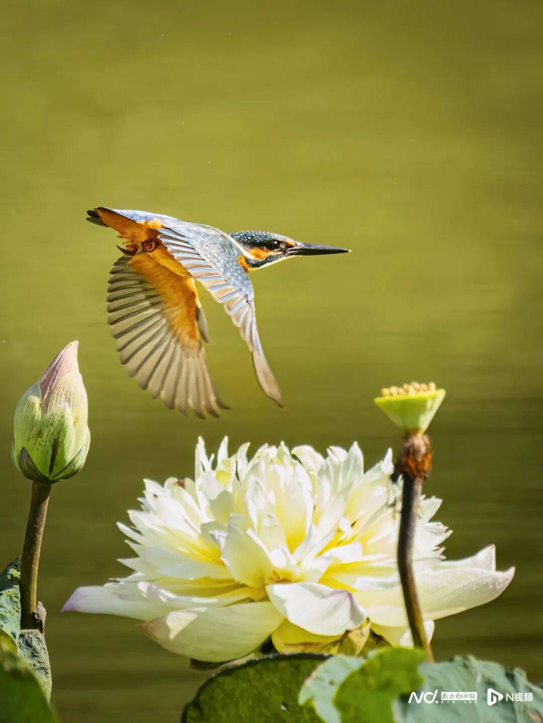 东莞最新发布:将严厉打击这些行为!