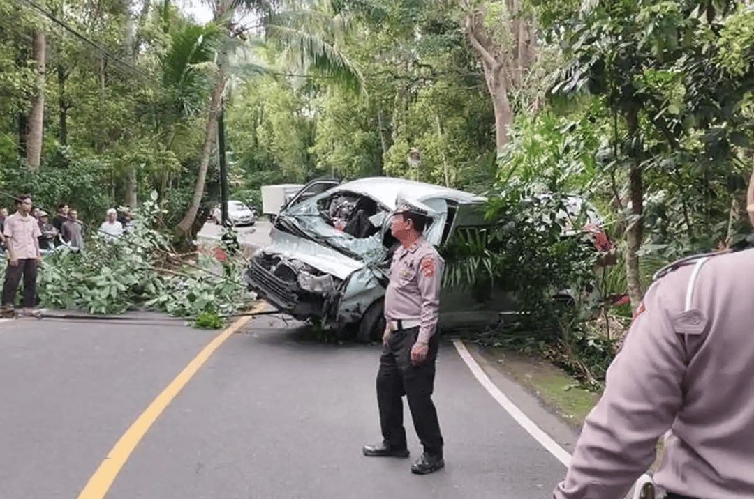 印尼巴厘岛一载有13名中国公民汽车坠入山沟 造成5死8伤