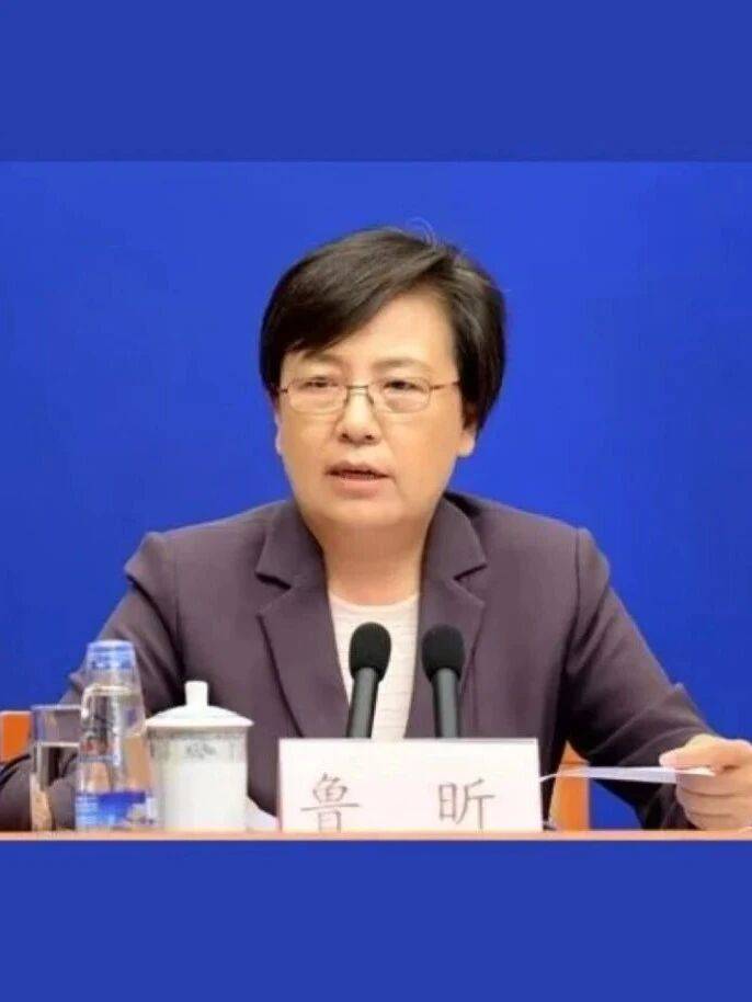 教育部原副部长鲁昕被查